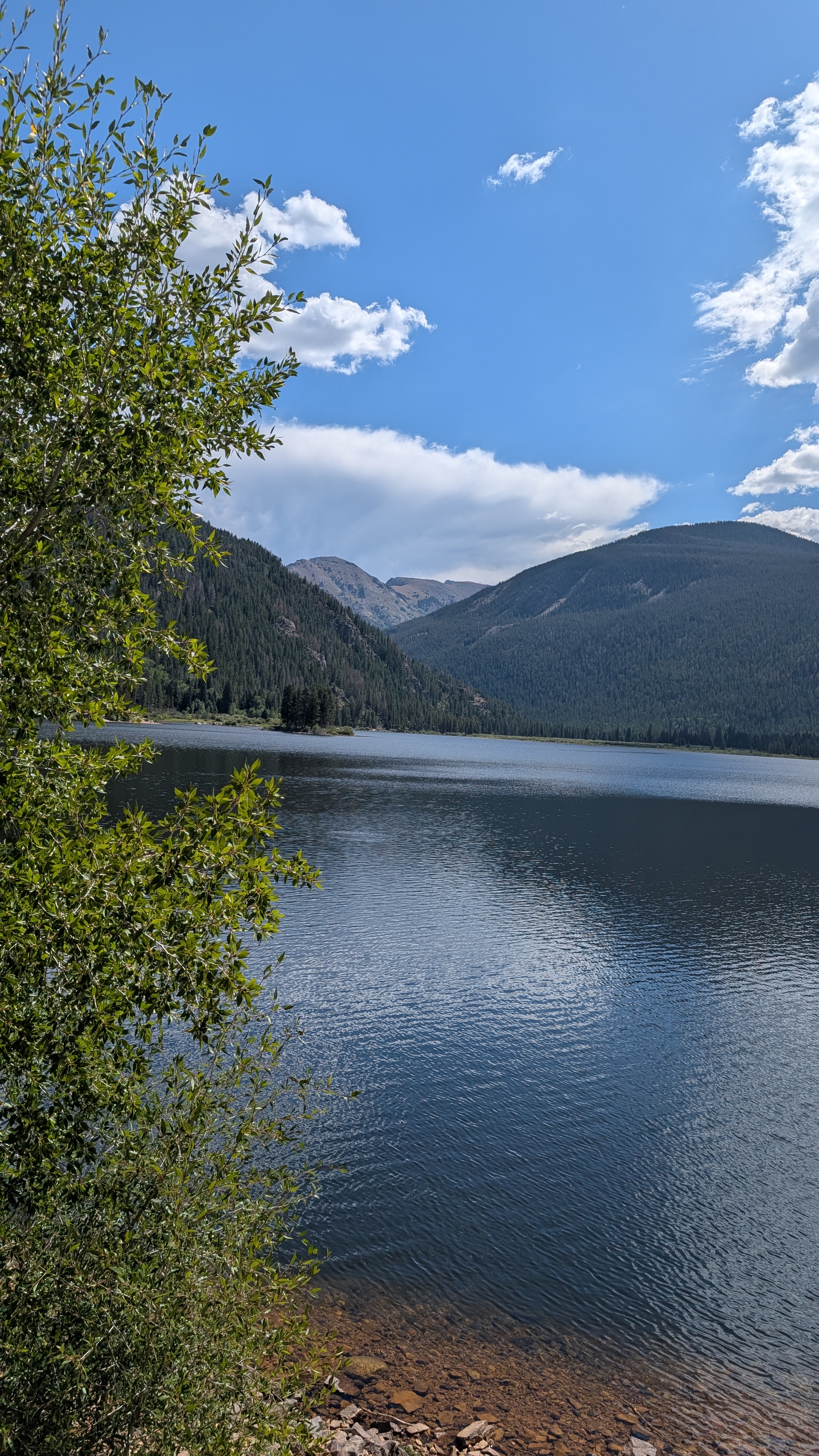 Lake framed by leaves
